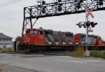 CN #4787 and CN #7076